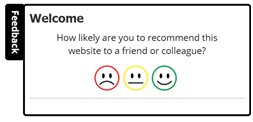 Add tabbed customer feedback surveys to your website